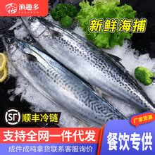 东北老头鱼产地批发，黑龙江老头鱼货源价格