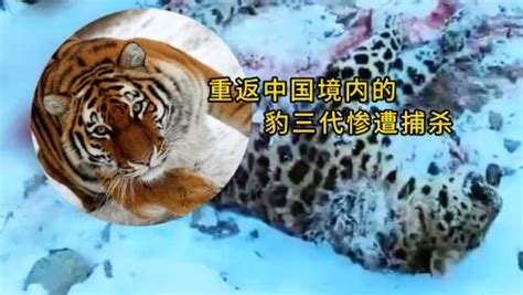 东北虎豹生物多样性国家野外科学观测研究站