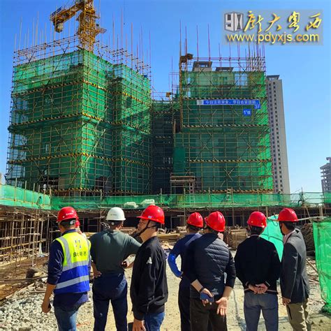 广东庞大粤西建设工程有限公司