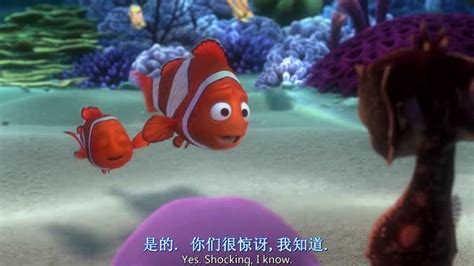 《海底总动员2》张国立徐帆重磅回归 马东倾情献声 - China.org.cn