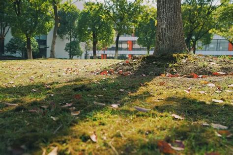 无锡校区 | “你好，秋天”，无锡协和校园秋季摄影作品展