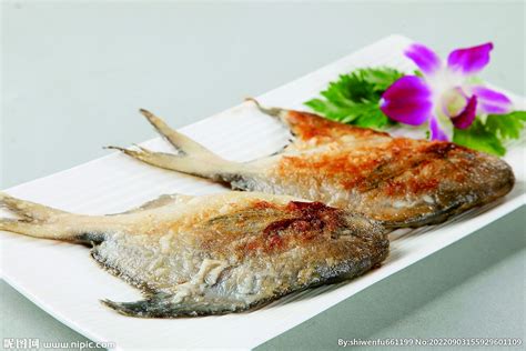 鲳鱼的十大常见品种及最新价格介绍 - 惠农网