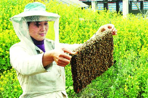 明园蜂业：24年，深耕中国人的“甜蜜事业” - 明园蜂业
