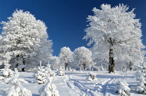 无雪景，不冬天（西安世博园白色风景）|摄影|风光|密阳叁叁 - 原创作品 - 站酷 (ZCOOL)