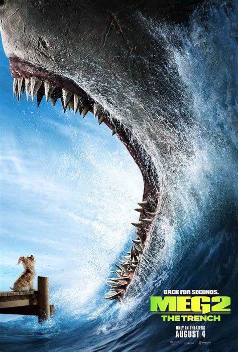 伊莱罗斯或执导华纳新作《巨齿鲨》 故事套路类似《大白鲨》 背景将搬到中国 – Mtime时光网