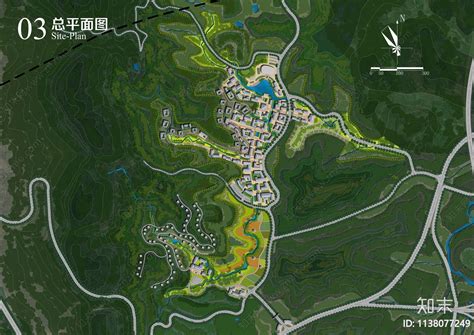 雅安绿岛公园绘制熊猫长卷 - 专题 - 四川在线