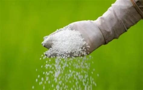 芜湖有机肥生产-生物肥销售-复混专用肥价格-安徽惠禾壮生物科技股份有限公司