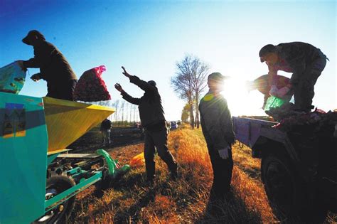 干合作社赚钱的3大模式 - 农机 市场行情 - 新农资360网|土壤改良|果树种植|蔬菜种植|种植示范田|品牌展播|农资微专栏