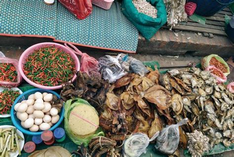 老挝今年已出口农产品超12万吨 橡胶出口总额位居第一！