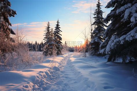夜间冬季森林中的木房子夜雪中大量积的熔化岩层家仙女寒冷的高清图片下载-正版图片307987606-摄图网