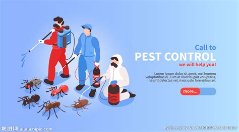 重庆杀虫公司告诉你夏天如何有效杀虫。-重庆比大生物科技有限公司