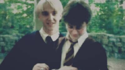 drarry(德哈/哈德)图片