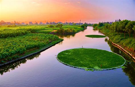 山东安丘汶河湿地景观生态修复与提升 - 湿地与滨水景观 - 首家园林设计上市公司