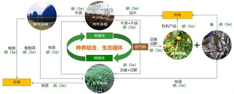 创新农业生产模式，生态循环绘就农业新蓝图-甘肃海创新能源科技有限公司