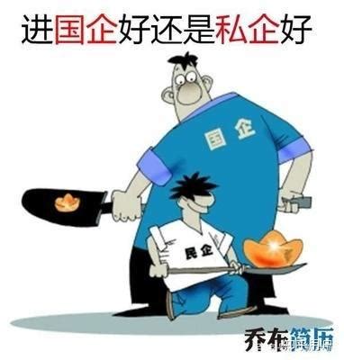 博士毕业后，是进入高校当老师好，还是进入国企就职更好？