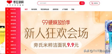 2010中国十大b2c网络购物网站排行榜Word模板下载_编号qgmdexdj_熊猫办公