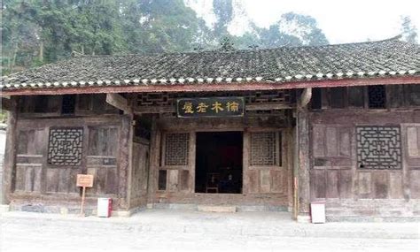 金施恩图片