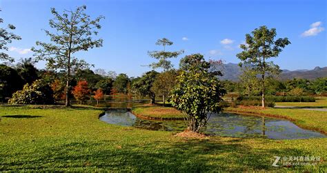 西双版纳植物园旅游景区介绍_西双版纳植物园旅游景区图片_四川成都中国青年旅行社官网