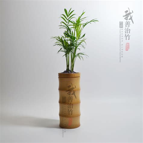 水养富贵竹专用花瓶大口径加厚玻璃2021新款轻奢高端干花插花摆件-淘宝网