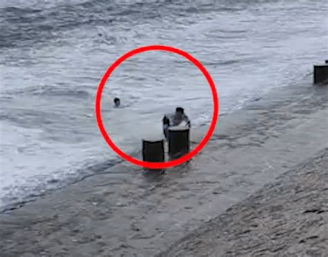 游客拍照时被巨浪卷入大海！危急时刻，游来一只“海豚”|救援|落水者_新浪新闻