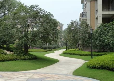 园林绿化苗木的选择搭配与注意事项-种植技术-中国花木网