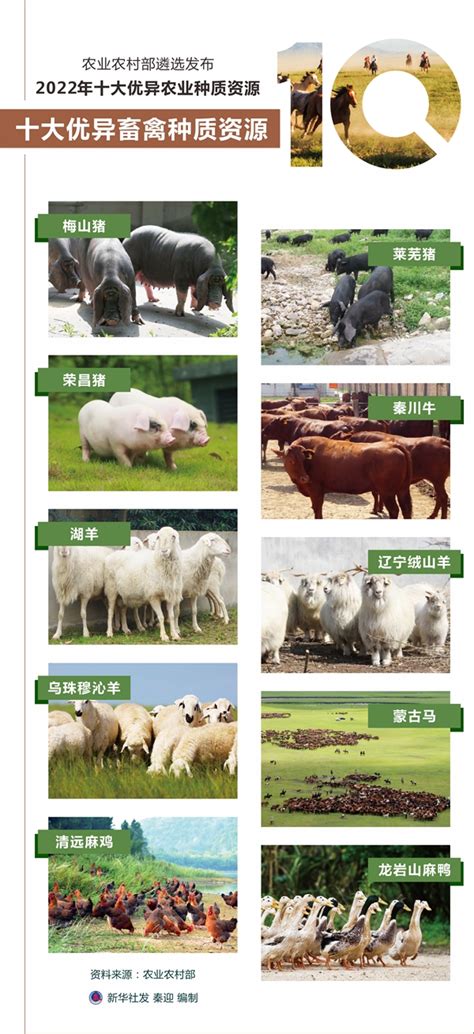 数说中国丨农业农村部遴选发布2022年十大优异农业种质资源 - 新华网客户端
