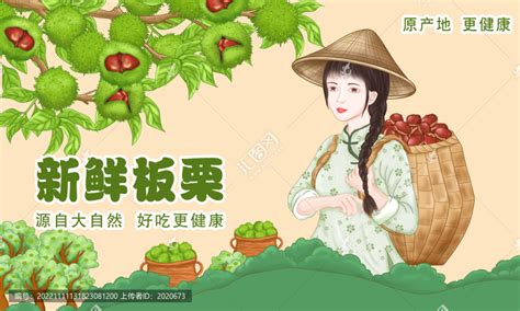 采摘板栗的小女孩,礼盒包装,包装设计,设计模板,汇图网www.huitu.com