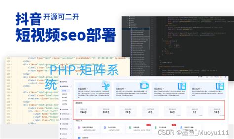 抖音SEO源码开发技术 分析与实践_抖音seo代码-CSDN博客