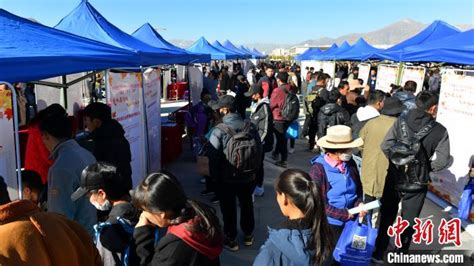 西藏举行大型招聘会 提供3500余个就业岗位 - 西藏在线