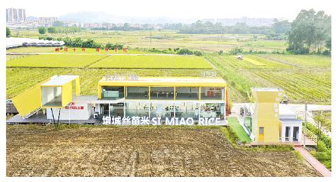 广东增城：打造现代农业产业园和田园综合体