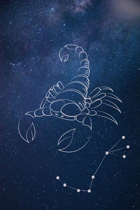 天蝎座星座背景图背景图片免费下载-千库网