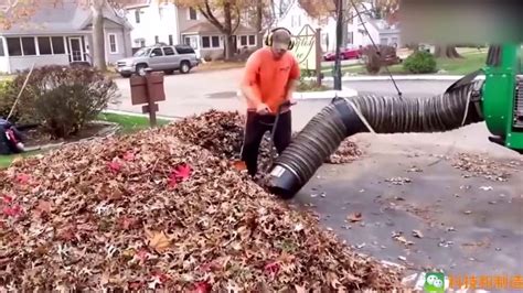 看看外国的清洁工是如何清扫树叶的，大堆的落叶分钟即可完成！