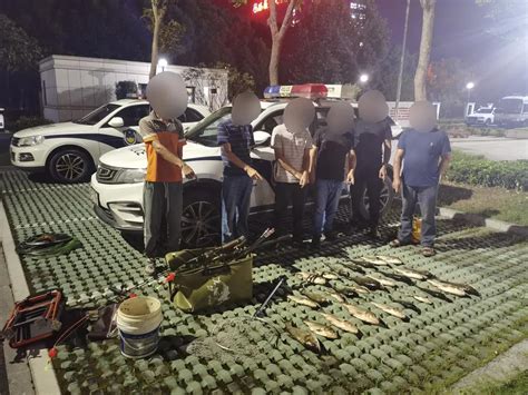 湖州警方抓获6名在老虎潭非法钓鱼的盗窃犯罪嫌疑人
