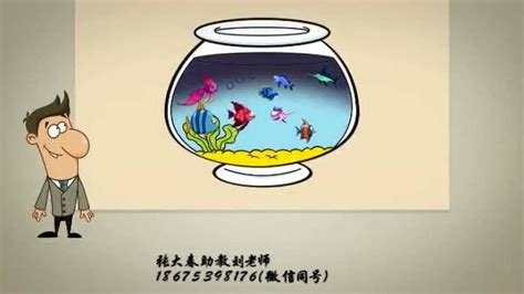 十一条鱼的故事_腾讯视频