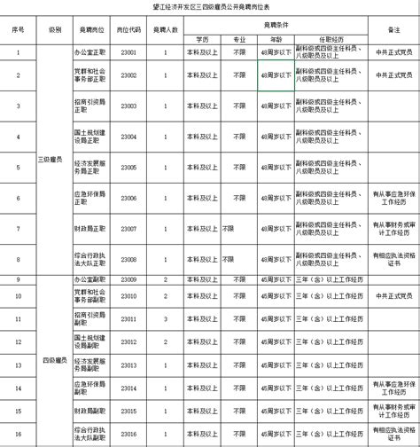 2023年安庆望江经济开发区管委会三四级雇员竞聘21人公告 - 安徽兴政公考