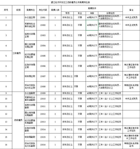 望江经济开发区热电联产项目成功并网发电_绿色_高能耗_能源