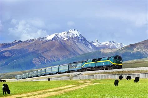 有机会，一定坐火车去西藏看看！_荔枝网新闻