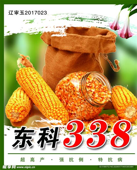 玉米种子海报设计图__广告设计_广告设计_设计图库_昵图网nipic.com