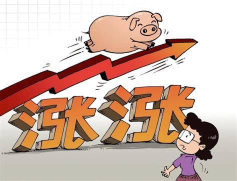近期安徽生猪出栏价快速上涨 40天内猪后座每公斤涨6元_安徽频道_凤凰网
