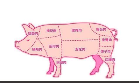 买猪肉时，如何辨别注水肉？大厨教你一招，3秒就能看出来