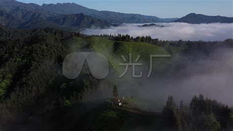 4k航拍春季茶园茶山风景视频特效素材-千库网