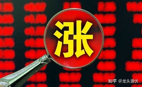 [担保]金圆股份:为全资子公司申请银行授信提供担保- CFi.CN 中财网