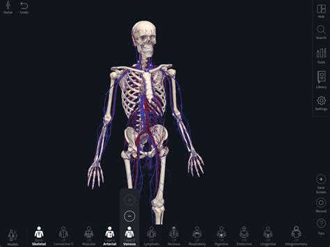 有什么适合医学人体解剖的软件？ - 知乎
