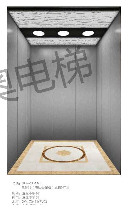 产品展示-西奥电梯-广州市粤隆机电工程有限公司