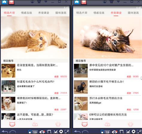 猫咪社区手机版下载-猫咪社区软件下载v1.0.28_拇指手游网