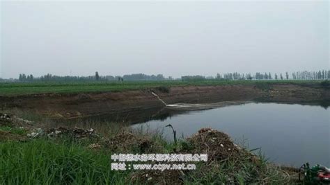 河北馆陶县：绿色农田旁现300米黑色污染坑塘，废渣废水恶臭难当|坑塘|馆陶县|调查员_新浪新闻