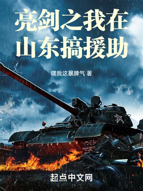 《亮剑之我在山东搞援助》小说在线阅读-起点中文网