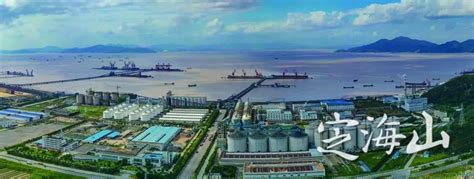 省第二批现代服务业创新发展区入围名单公布 舟山国际粮油产业园区入选