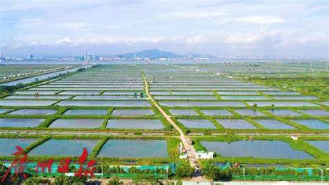 广州首家水产养殖型省级生态农场落户南沙