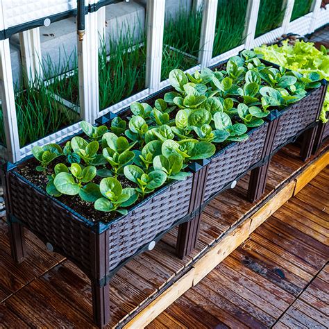 种菜盆 阳台透气种植箱 种花种菜盆花盆长方形种菜箱屋顶花箱-阿里巴巴